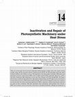 Research paper thumbnail of Inactivation and repair of photosynthetic machinery under heat stress