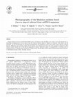 Research paper thumbnail of Phylogeography of the Madeiran endemic lizard Lacerta dugesii inferred from mtDNA sequences