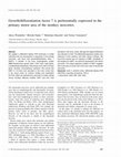 Research paper thumbnail of Growth/differentiation factor 7 is preferentially expressed in the primary motor area of the monkey neocortex