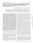 Research paper thumbnail of Activation of Syntaxin 1C, an Alternative Splice Variant of HPC-1/Syntaxin 1A, by Phorbol 12-Myristate 13-Acetate (PMA) Suppresses Glucose Transport into Astroglioma Cells via the Glucose Transporter-1 (GLUT-1)