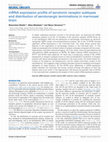 Research paper thumbnail of mRNA expression profile of serotonin receptor subtypes and distribution of serotonergic terminations in marmoset brain