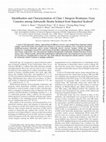 Research paper thumbnail of Identification and Characterization of Class 1 Integron Resistance Gene Cassettes among Salmonella Strains Isolated from Imported Seafood