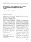 Research paper thumbnail of Characterization of Pepper yellow leaf curl virus, a tentative new Polerovirus species causing a yellowing disease of pepper