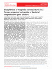 Research paper thumbnail of Biosynthesis of magnetic nanostructures in a foreign organism by transfer of bacterial magnetosome gene clusters