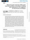 Research paper thumbnail of Maternal protein restriction affects gene expression profiles in the kidney at weaning with implications for the regulation of renal function and lifespan