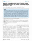 Research paper thumbnail of Maternal Protein Restriction Affects Postnatal Growth and the Expression of Key Proteins Involved in Lifespan Regulation in Mice