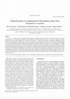 Research paper thumbnail of Characterization of virginiamycin S biosynthetic genes from Streptomyces virginiae