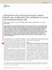 Research paper thumbnail of Chromosome-wide and promoter-specific analyses identify sites of differential DNA methylation in normal and transformed human cells