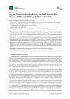 Research paper thumbnail of Signal Transduction Pathways of EMT Induced by TGF-β, SHH, and WNT and Their Crosstalks