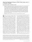 Research paper thumbnail of Short-Term Physiological Responses of Black Walnut (Juglans nigra L.) to Plantation Thinning