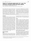 Research paper thumbnail of Evidence for P2-purinoceptor-mediated uptake of Ca2+ across a fish (Oreochromis mossambicus) intestinal brush border membrane