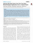 Research paper thumbnail of Selecting Microbial Strains from Pine Tree Resin: Biotechnological Applications from a Terpene World