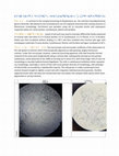 Research paper thumbnail of Nocardia, Mycobacteria, Corynebacteria