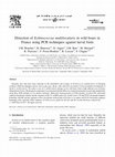 Research paper thumbnail of Detection of Echinococcus multilocularis in wild boars in France using PCR techniques against larval form