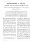 Research paper thumbnail of Intrahaplotype polymorphism at the Brassica S locus