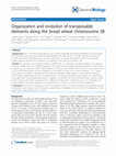 Research paper thumbnail of Organization and evolution of transposable elements along the bread wheat chromosome 3B