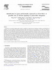 Research paper thumbnail of Identification of genes preferentially expressed during wood formation in Eucalyptus