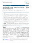 Research paper thumbnail of Evolutionary history of Methyltransferase 1 genes in hexaploid wheat