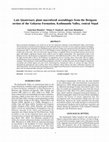 Research paper thumbnail of Late Quaternary plant macrofossil assemblages from the Besigaon section of the Gokarna Formation, Kathmandu Valley, central Nepal