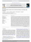 Research paper thumbnail of The Norway Basin revisited: From continental breakup to spreading ridge extinction