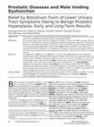 Research paper thumbnail of Relief by Botulinum Toxin of Lower Urinary Tract Symptoms Owing to Benign Prostatic Hyperplasia: Early and Long-Term Results