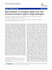 Research paper thumbnail of Mycorrhization of transgenic apple trees with increased resistance against fungal pathogens