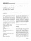 Research paper thumbnail of A candidate gene for fire blight resistance in Malus × robusta 5 is coding for a CC–NBS–LRR