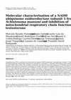 Research paper thumbnail of Molecular characterisation of a NADH ubiquinone oxidoreductase subunit 5 from Schistosoma mansoni and inhibition of mitochondrial respiratory chain function by testosterone