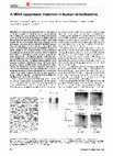 Research paper thumbnail of A tRNA suppressor mutation in human mitochondria