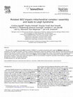 Research paper thumbnail of Mutated ND2 impairs mitochondrial complex I assembly and leads to Leigh Syndrome