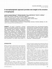 Research paper thumbnail of A neurophylogenetic approach provides new insight to the evolution of Scaphopoda