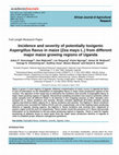 Research paper thumbnail of African Journal of Agricultural Research Incidence and severity of potentially toxigenic Aspergillus flavus in maize (Zea mays L.) from different major maize growing regions of Uganda