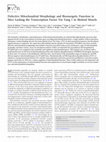 Research paper thumbnail of Defective Mitochondrial Morphology and Bioenergetic Function in Mice Lacking the Transcription Factor Yin Yang 1 in Skeletal Muscle