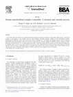 Research paper thumbnail of Human mitochondrial complex I assembly: A dynamic and versatile process