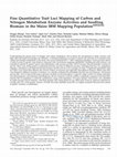 Research paper thumbnail of Fine Quantitative Trait Loci Mapping of Carbon and Nitrogen Metabolism Enzyme Activities and Seedling Biomass in the Maize IBM Mapping Population