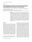 Research paper thumbnail of The phylogenetic position of early hexapod lineages: morphological data contradict molecular data