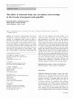 Research paper thumbnail of The effect of maternal body size on embryo survivorship in the broods of pregnant male pipefish