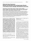 Research paper thumbnail of Differential Gene Expression Between the Biotrophic-Like and Saprotrophic Mycelia of the Witches' Broom Pathogen Moniliophthora perniciosa