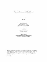 Research paper thumbnail of Corporate governance and equity prices*