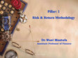 Research paper thumbnail of Dr Wael Mostafa Pillar: 1 Risk & Return Methodology Assistant Professor of Finance