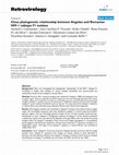 Research paper thumbnail of Close phylogenetic relationship between Angolan and Romanian HIV-1 subtype F1 isolates