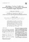 Research paper thumbnail of Rheology of culture broths and exopolysaccharide of Cyanospira capsulata at different stages of growth