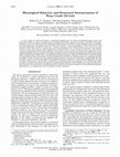 Research paper thumbnail of Rheological Behavior and Structural Interpretation of Waxy Crude Oil Gels