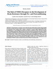 Research paper thumbnail of The Role of NMDA Receptors in the Development of Brain Resistance through Pre- and Postconditioning