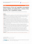 Research paper thumbnail of Correlates of Fruit and Vegetable Consumption Among 11YearOld Belgian-Flemish and Dutch Schoolchildren