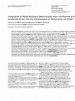 Research paper thumbnail of Integration of Metal-Resistant Determinants from the Plasmid of an Acidocella Strain into the Chromosome of Escherichia coli DH5?*