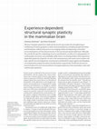 Research paper thumbnail of Experience-dependent structural synaptic plasticity in the mammalian brain