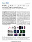 Research paper thumbnail of Modality-specific thalamocortical inputs instruct the identity of postsynaptic L4 neurons