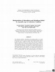 Research paper thumbnail of Biodegradation of Chlorsulfuron and Metsulfuron‐Methyl by Aspergillus niger in Laboratory Conditions