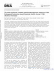 Research paper thumbnail of The male and female complete mitochondrial genome sequences of the Endangered freshwater mussel Potomida littoralis (Cuvier, 1798) (Bivalvia: Unionidae)